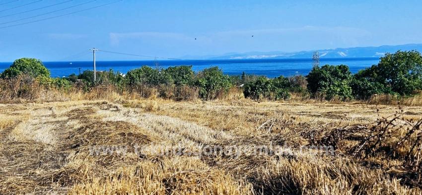 Feld Zu verkaufen in Barbaros Bz. Süleymanpaşa Kumbağ - Gehäuse-Zonierung - 8.500 m²