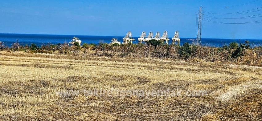 Feld Zu verkaufen in Barbaros Bz. Süleymanpaşa Kumbağ - Gehäuse-Zonierung - 8.500 m²