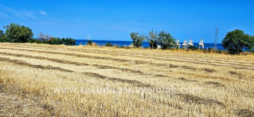 Feld Zu verkaufen in Barbaros Bz. Süleymanpaşa Kumbağ - Gehäuse-Zonierung - 8.500 m²