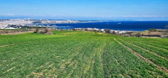 Grundstück Mit Freiem Meer- Und Naturblick, Geeignet Für Ein Villenprojekt Mit 75 Villen In Tekirdağ Barbarosta