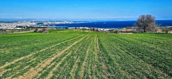 Grundstück Mit Freiem Meer- Und Naturblick, Geeignet Für Ein Villenprojekt Mit 75 Villen In Tekirdağ Barbarosta