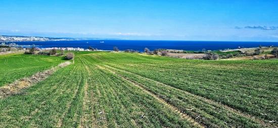 Grundstück Mit Freiem Meer- Und Naturblick, Geeignet Für Ein Villenprojekt Mit 75 Villen In Tekirdağ Barbarosta