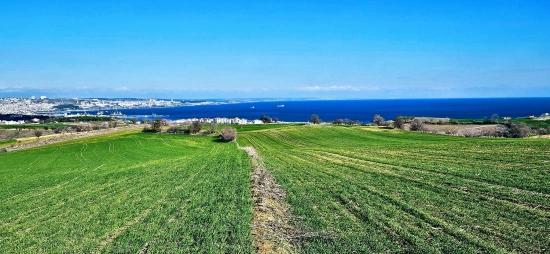 Grundstück Mit Freiem Meer- Und Naturblick, Geeignet Für Ein Villenprojekt Mit 75 Villen In Tekirdağ Barbarosta