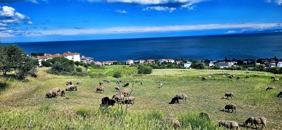 15 Luxuriöse Villen Mit Einzigartigem Panoramablick Auf Meer Und Natur, Gelegen In Einer Für Das Projekt Geeigneten Gegend.