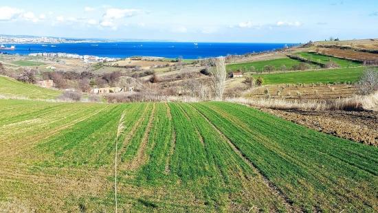 Grundstück Geeignet Für 8 Villenprojekte Mit Vollem Meer- Und Naturblick In Tekirdağ Barbarosta
