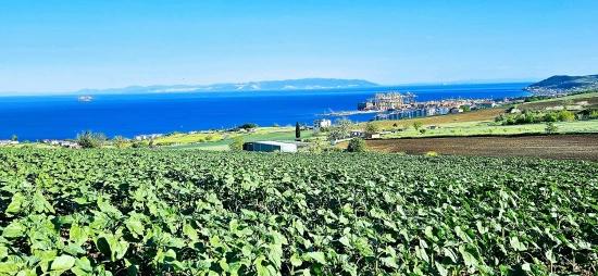 Grundstück Geeignet Für Genossenschafts- Und Bauprojekte Mit 50 Wohnungen Und Freiem Meer- Und Naturblick.