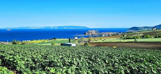 Grundstück Geeignet Für Genossenschafts- Und Bauprojekte Mit 50 Wohnungen Und Freiem Meer- Und Naturblick.