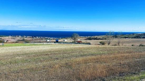 32 Luxusvillen Mit Herrlichem Meer-, Natur- Und Stadtblick, Für Das Projekt Geeignetes Grundstück