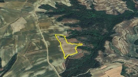 Tauschhandel + Bargeld* Bauen Sie Mit Staatlicher Unterstützung Einen Bauernhof Auf* Produzieren Und Anbauen* Sichern Sie Ihre Zukunft*