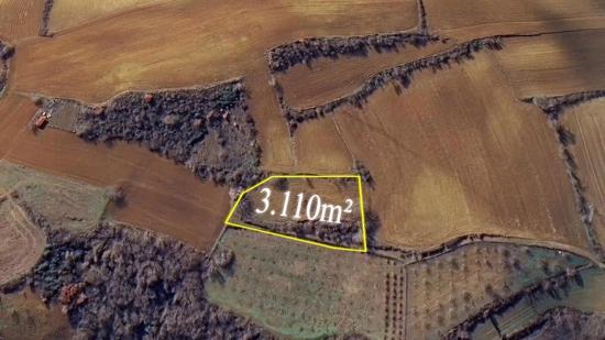 Investitionsmöglichkeit: Garantierter Hoher Gewinn Kurzfristig Für Diejenigen, Die Kaufen Und Verkaufen Möchten.