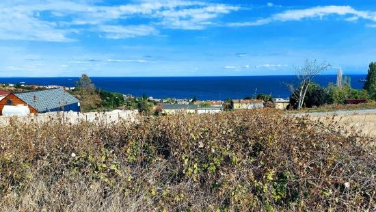 Triplex-Grundstücke Bieten Eine Großartige Gelegenheit Für Alle, Die Mit Geringem Kapital Ein Freistehendes Haus Bauen Möchten.