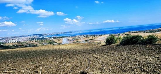 Grundstücksmöglichkeit, Geeignet Für 4 Luxusvillen Mit Uneingeschränktem Meerblick