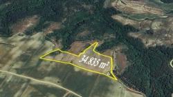 Tauschhandel + Bargeld* Bauen Sie Mit Staatlicher Unterstützung Einen Bauernhof Auf* Produzieren Und Anbauen* Sichern Sie Ihre Zukunft*