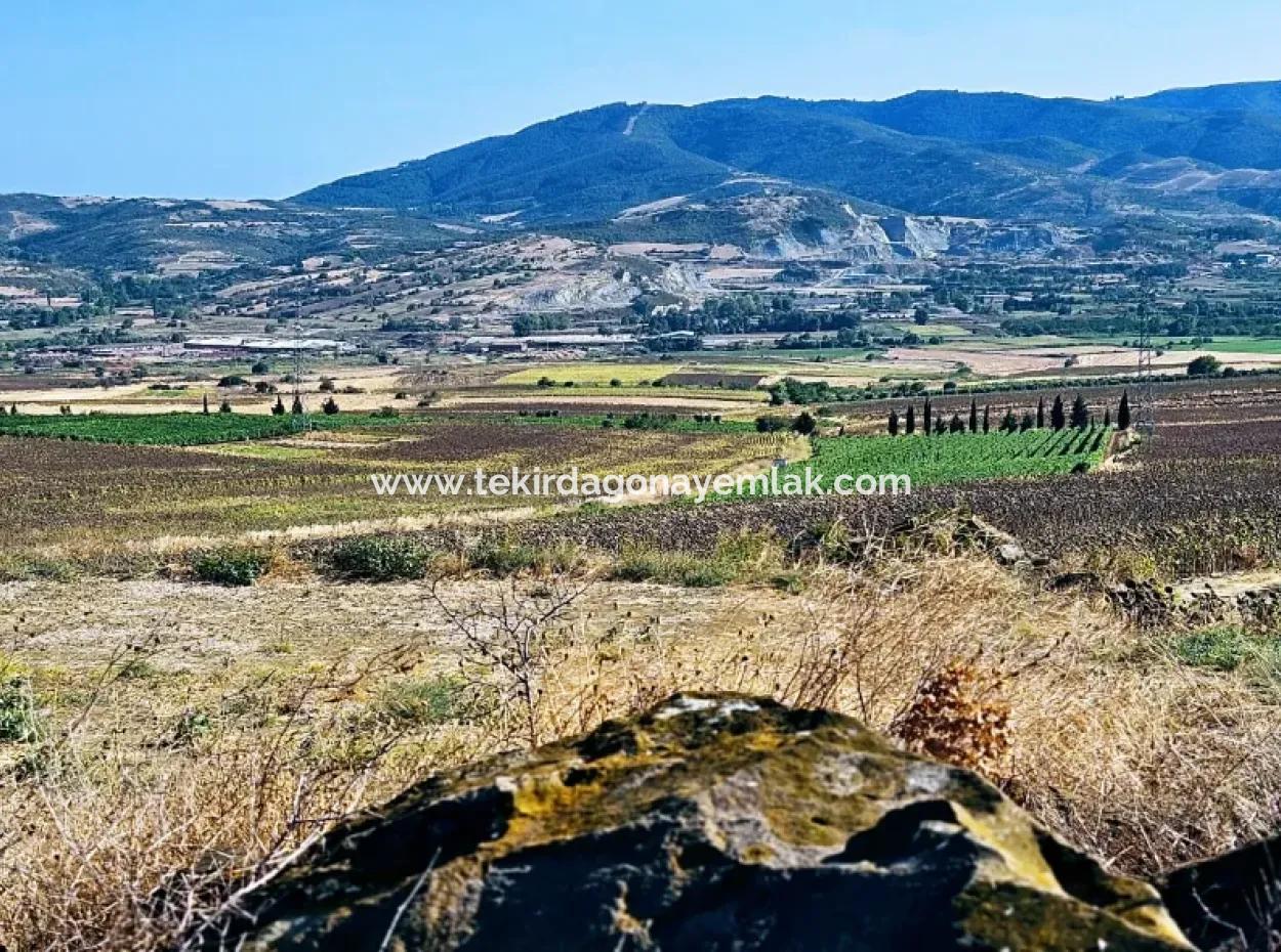 Der Hafen Von Asyaport Liegt Im Rahmen Des Aktuellen Flächennutzungsplans (