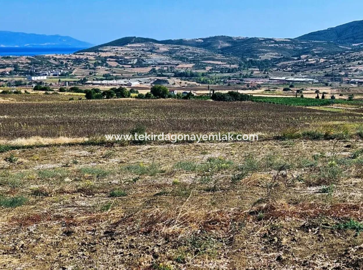 Der Hafen Von Asyaport Liegt Im Rahmen Des Aktuellen Flächennutzungsplans (