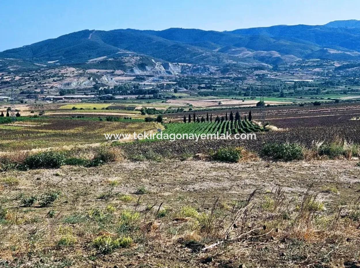 Der Hafen Von Asyaport Liegt Im Rahmen Des Aktuellen Flächennutzungsplans (