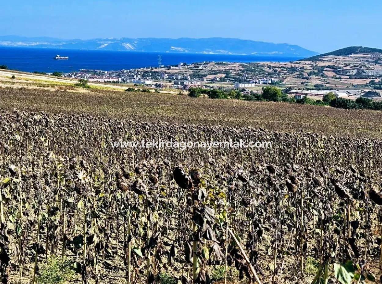 Der Hafen Von Asyaport Liegt Im Rahmen Des Aktuellen Flächennutzungsplans (