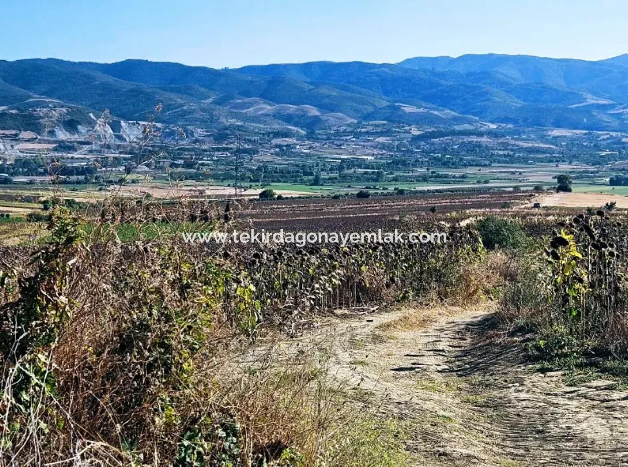 Der Hafen Von Asyaport Liegt Im Rahmen Des Aktuellen Flächennutzungsplans (