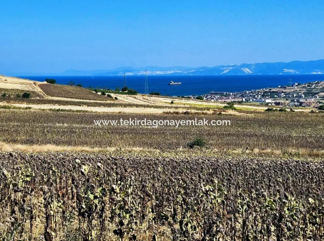Der Hafen Von Asyaport Liegt Im Rahmen Des Aktuellen Flächennutzungsplans (