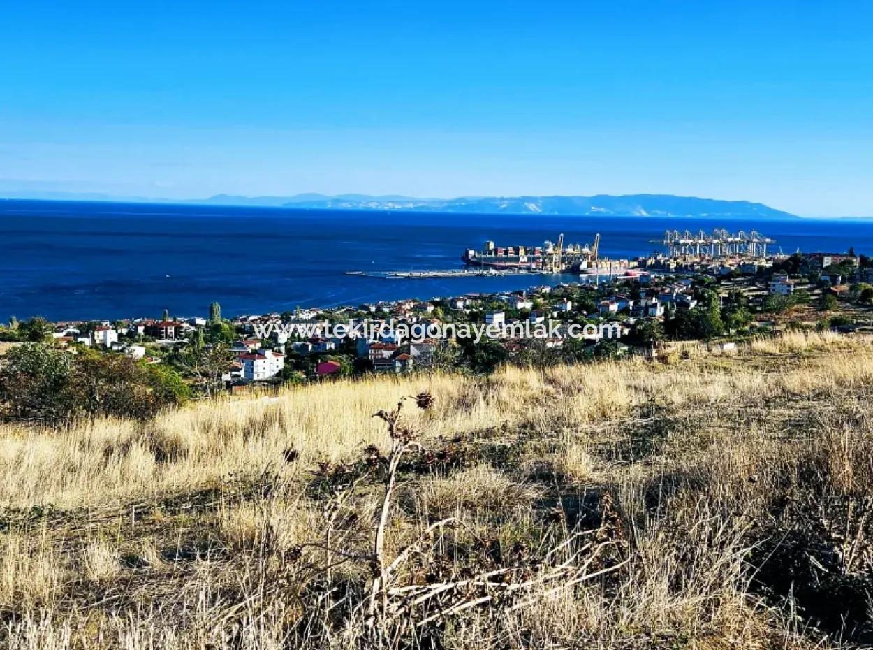 532 M2 Eckgrundstück Zum Verkauf In Tekirdag Süleymanpaşa Barbaros Nachbarschaft Mit Herrlichem Meer- Und Naturblick
