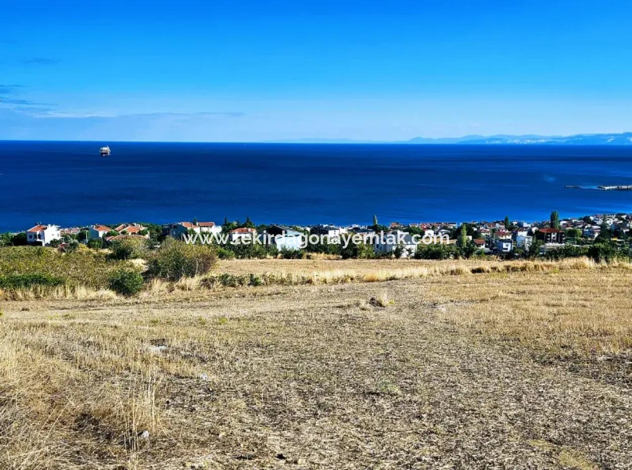 25 Wohnungen Mit Vollem Meerblick Gutscheinplatz Zum Dringenden Verkauf In Tekirdag Barbarosta