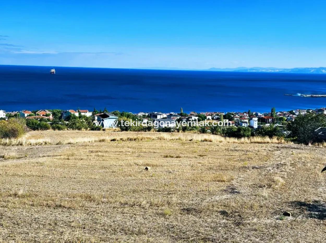 25 Wohnungen Mit Vollem Meerblick Gutscheinplatz Zum Dringenden Verkauf In Tekirdag Barbarosta