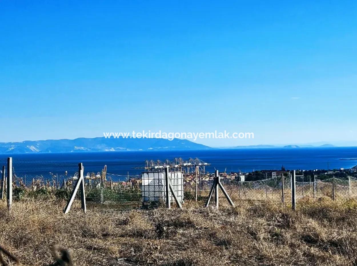 765 M2 Schnäppchengrundstück Mit Vollem Meerblick Zum Dringenden Verkauf In Tekirdag Barbarosta