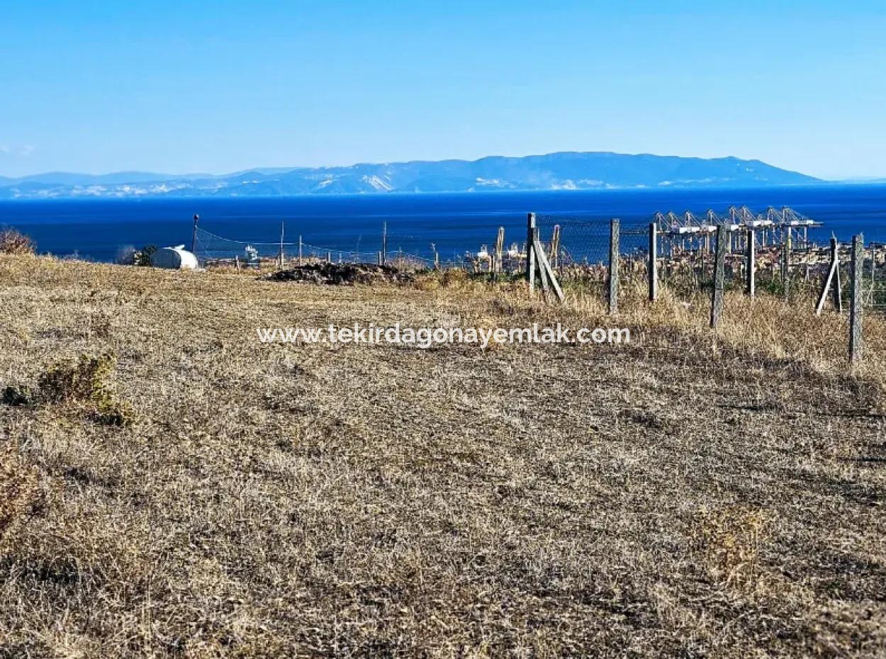 765 M2 Schnäppchengrundstück Mit Vollem Meerblick Zum Dringenden Verkauf In Tekirdag Barbarosta