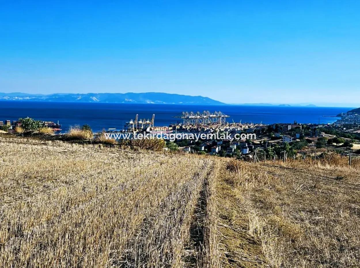 765 M2 Schnäppchengrundstück Mit Vollem Meerblick Zum Dringenden Verkauf In Tekirdag Barbarosta