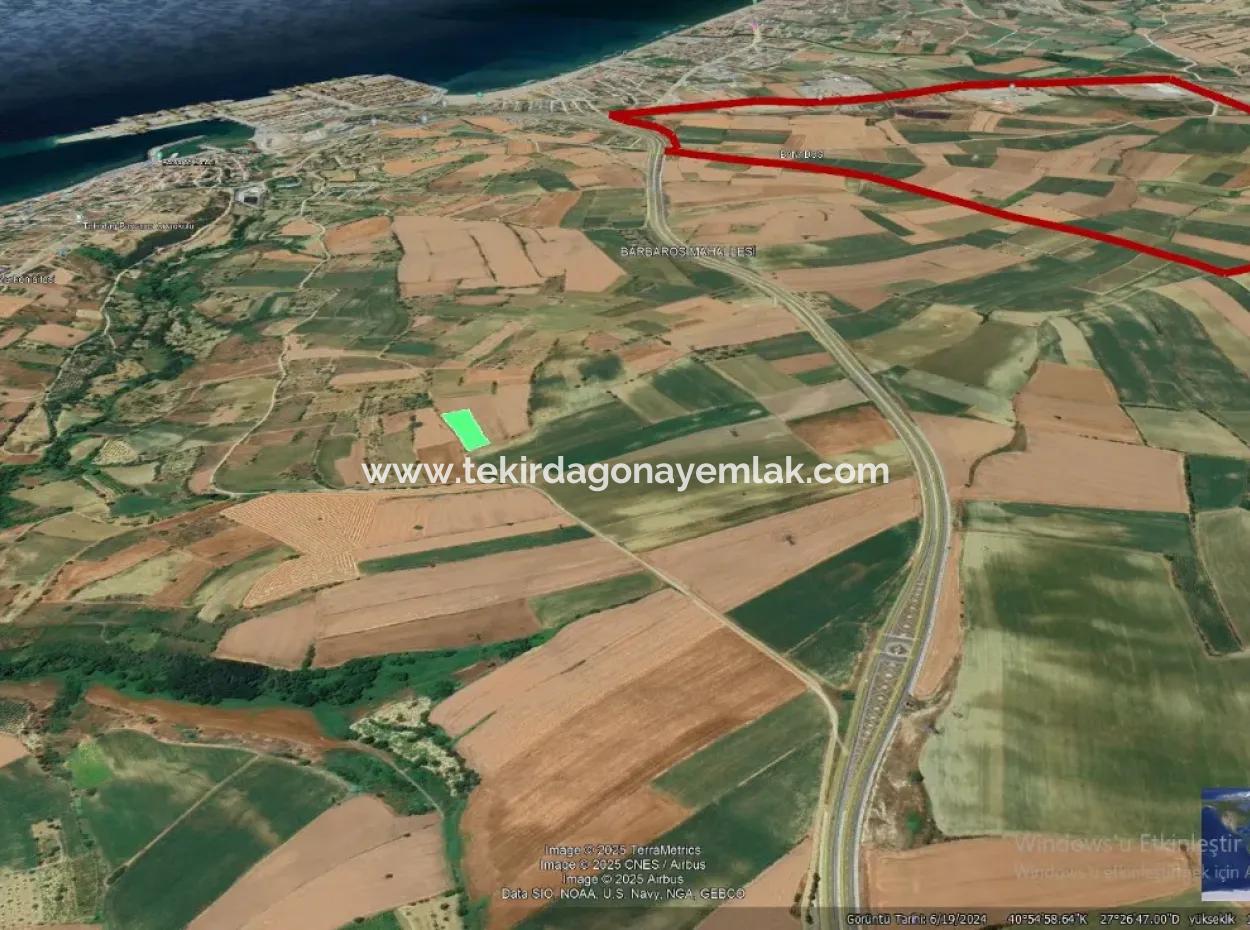 Der Hafen Von Asyaport Ist Ein Land Mit Hoher Gewinngarantie Für Seine Investoren Im Rahmen Des Aktuellen Flächennutzungsplans