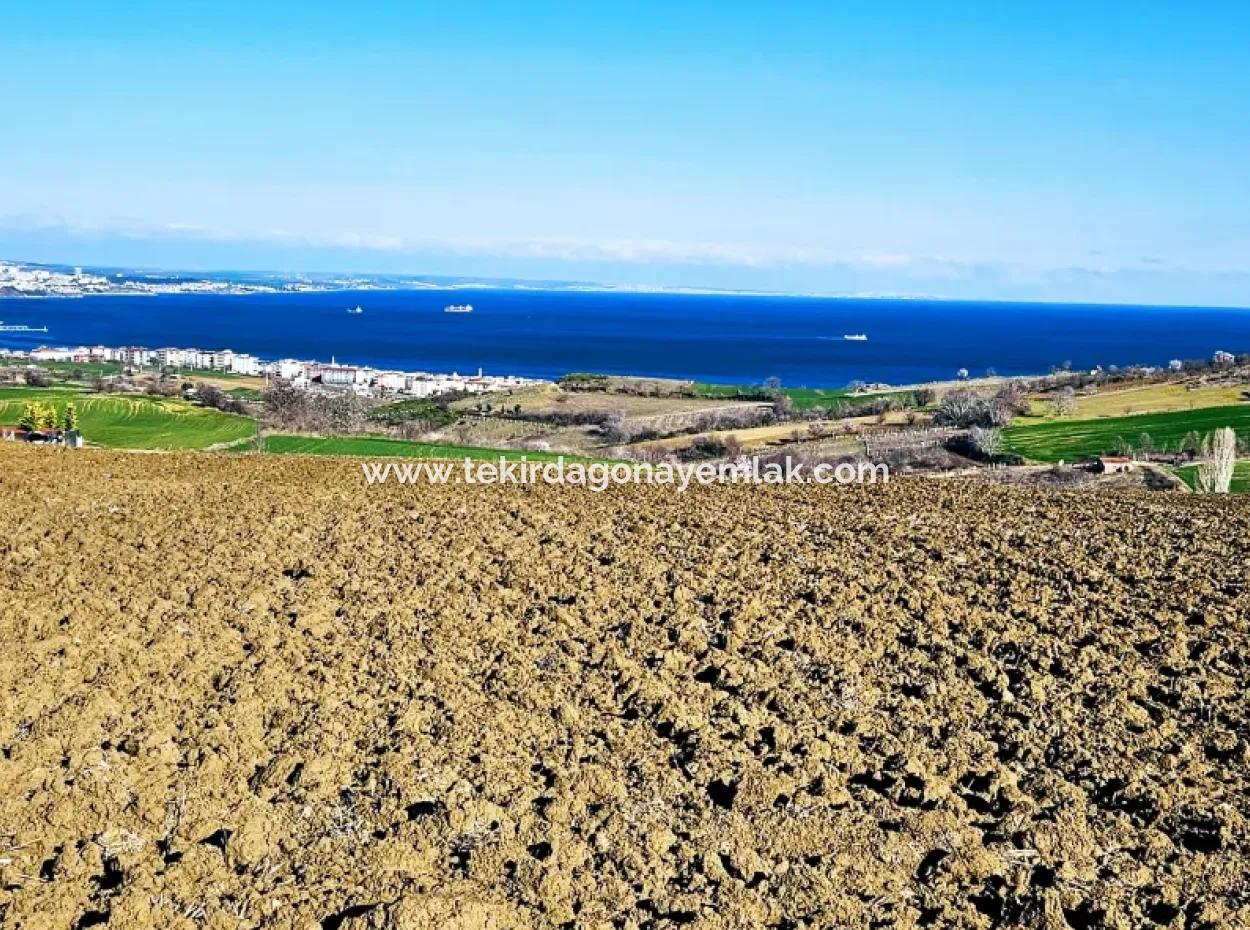 Tekirdag Barbarosta Luxusvilla Projekt Yap. Geben Sie Den Bauunternehmern Eine Wohnung Und Bauen Sie Eine Gewinnbringende Villa Mit Vollem Meerblick
