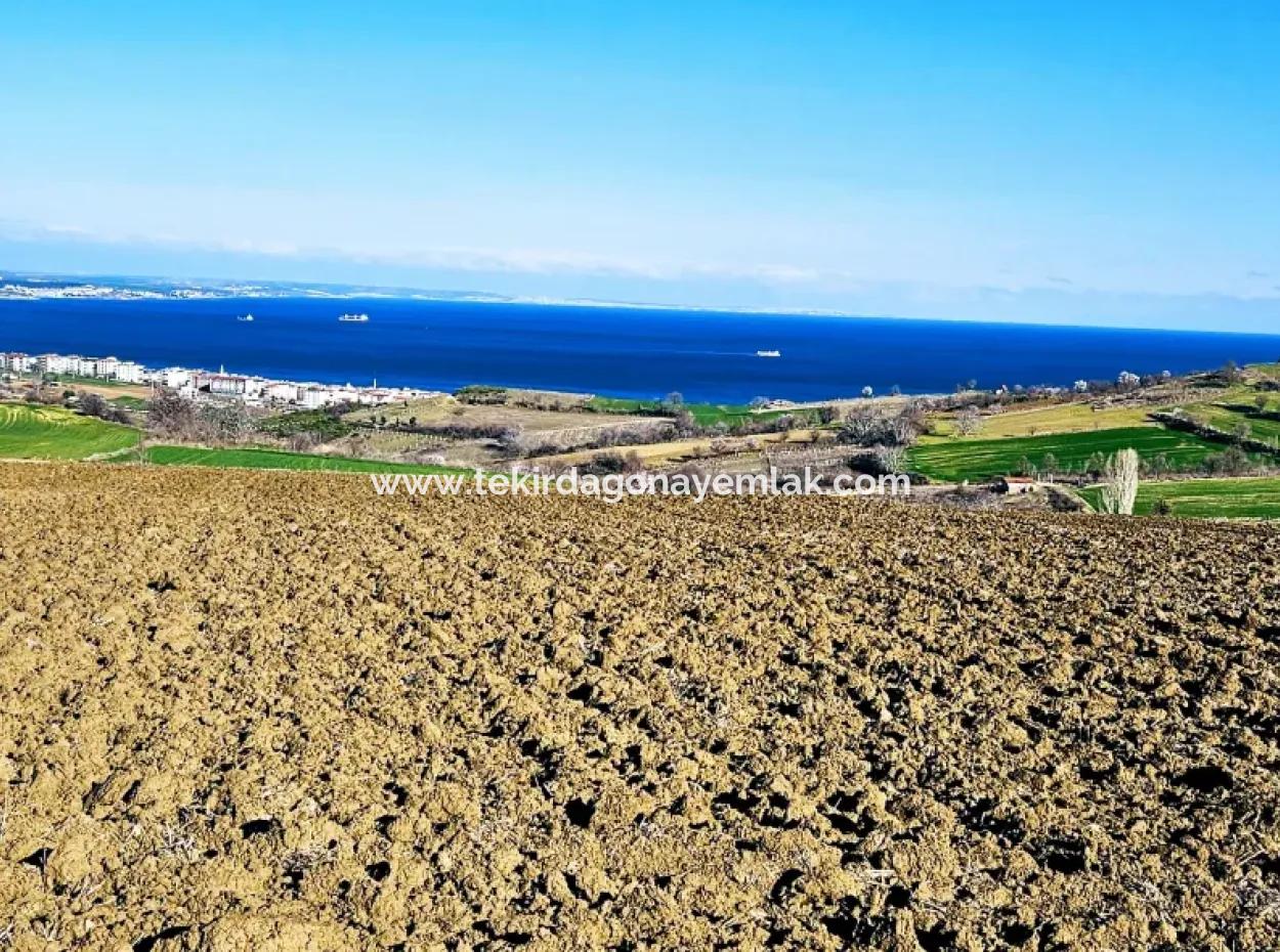 Tekirdag Barbarosta Luxusvilla Projekt Yap. Geben Sie Den Bauunternehmern Eine Wohnung Und Bauen Sie Eine Gewinnbringende Villa Mit Vollem Meerblick