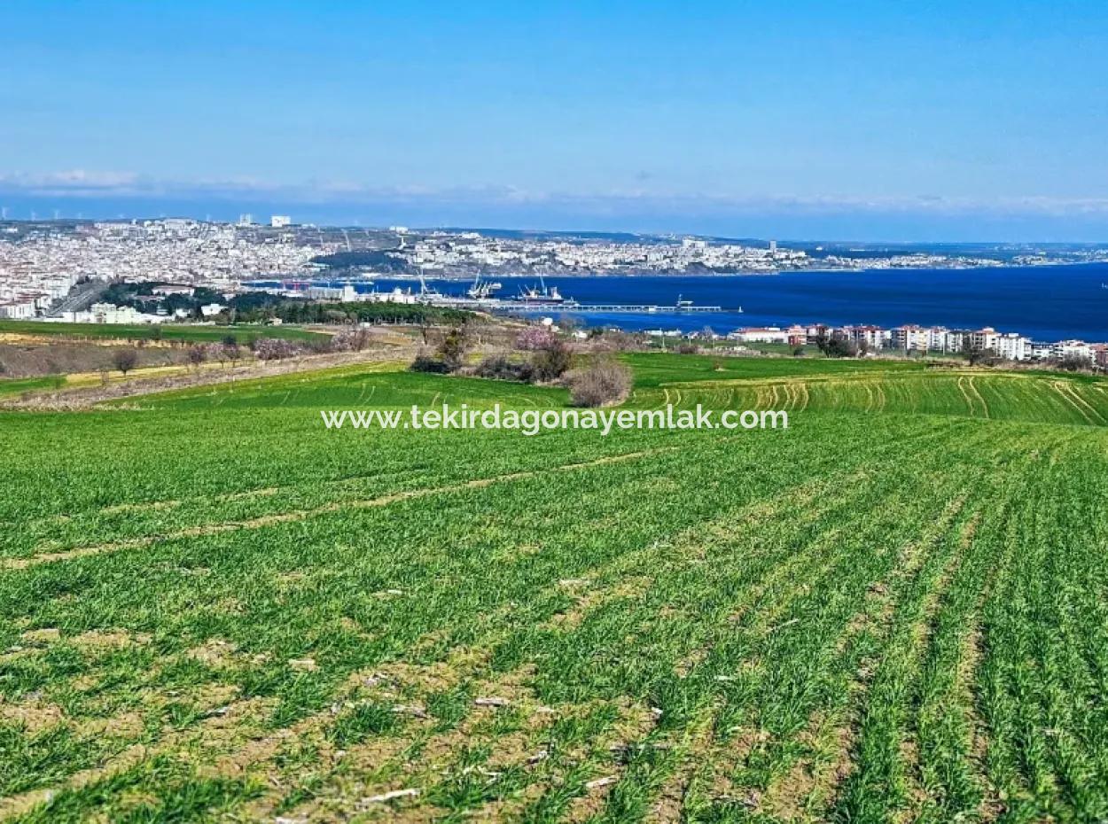 Die Nächstgelegene Region Zu Istanbul Ist Tekirdag Barbarost 34.500 Opportunity Zoned Land, Das Sich Für Den Bau Von 75 Luxusvillen Mit Vollem Blick Auf Das Meer Und Die Natur Eignet