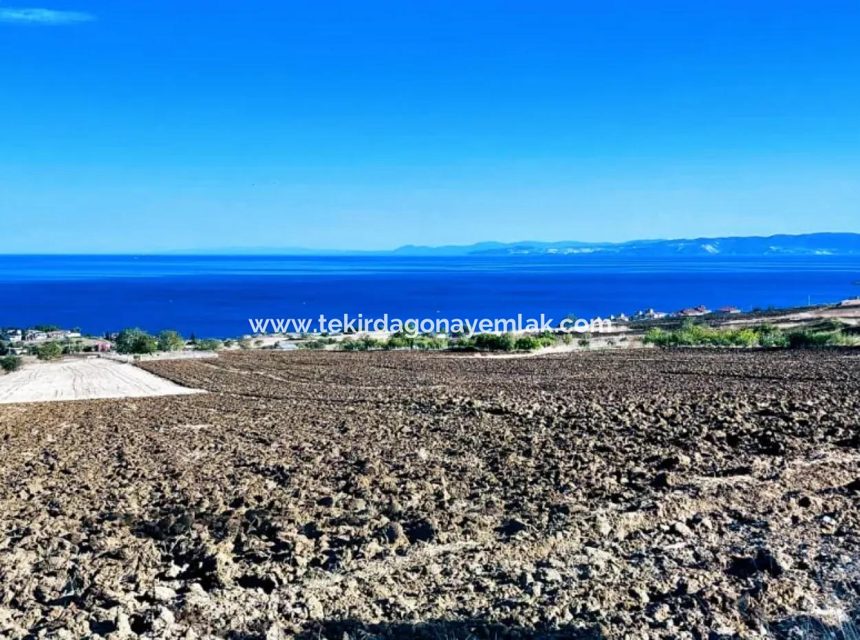 Hohe Gewinngarantie Investieren Sie In 44 Wohnungen Im Massenwohnungsbereich Geben Sie Auftragnehmern Das Doppelte Ihrer Gewinne