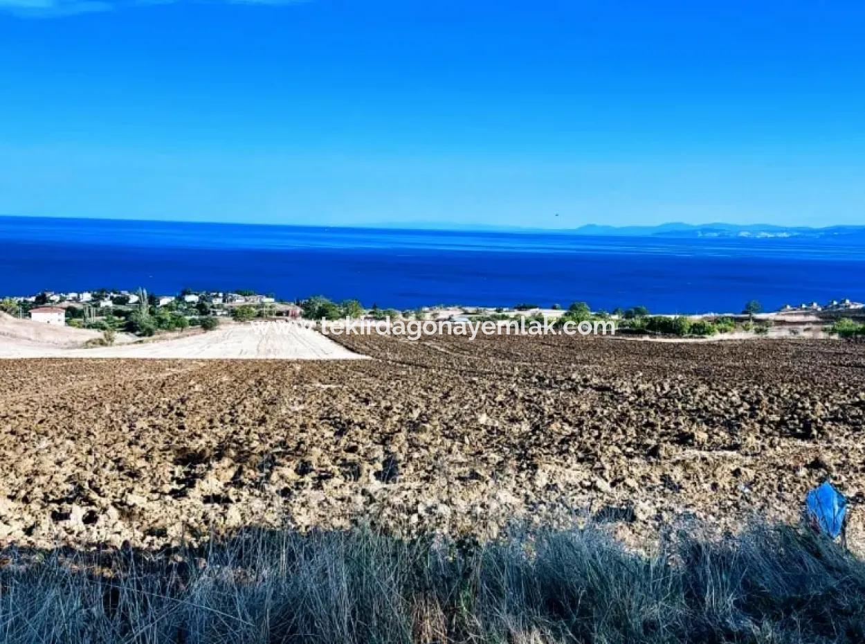 Hohe Gewinngarantie Investieren Sie In 44 Wohnungen Im Massenwohnungsbereich Geben Sie Auftragnehmern Das Doppelte Ihrer Gewinne