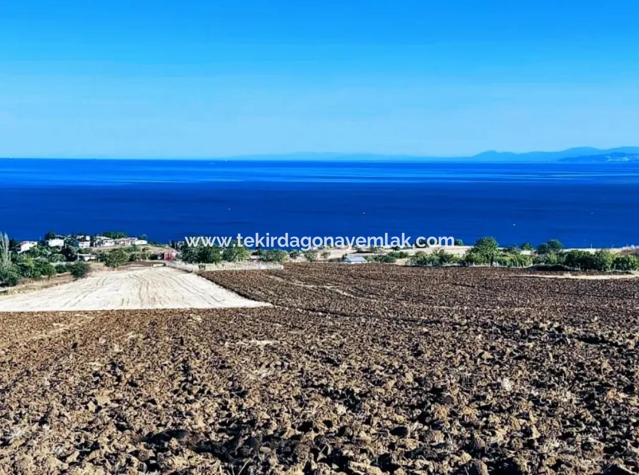 Hohe Gewinngarantie Investieren Sie In 44 Wohnungen Im Massenwohnungsbereich Geben Sie Auftragnehmern Das Doppelte Ihrer Gewinne
