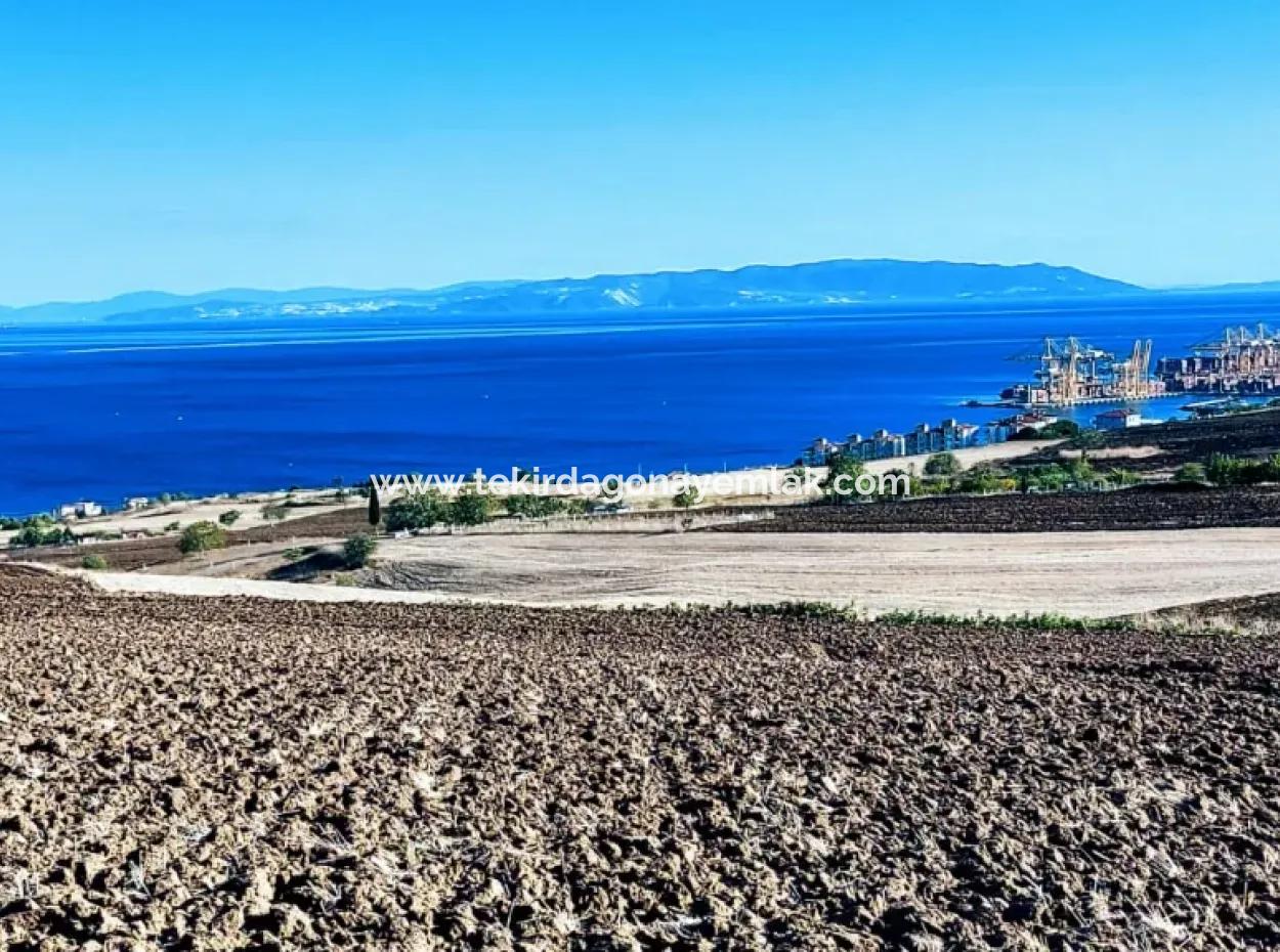 Hohe Gewinngarantie Investieren Sie In 44 Wohnungen Im Massenwohnungsbereich Geben Sie Auftragnehmern Das Doppelte Ihrer Gewinne