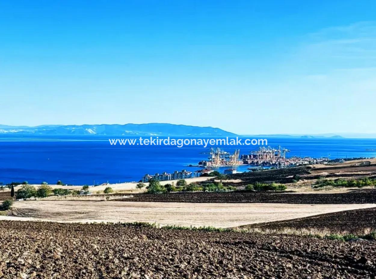 Hohe Gewinngarantie Investieren Sie In 44 Wohnungen Im Massenwohnungsbereich Geben Sie Auftragnehmern Das Doppelte Ihrer Gewinne