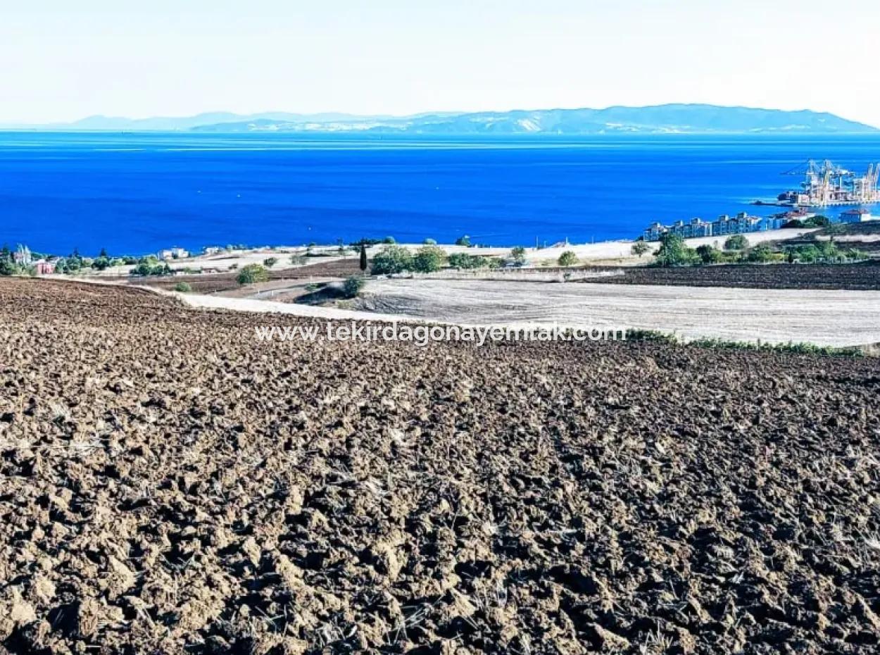 Hohe Gewinngarantie Investieren Sie In 44 Wohnungen Im Massenwohnungsbereich Geben Sie Auftragnehmern Das Doppelte Ihrer Gewinne