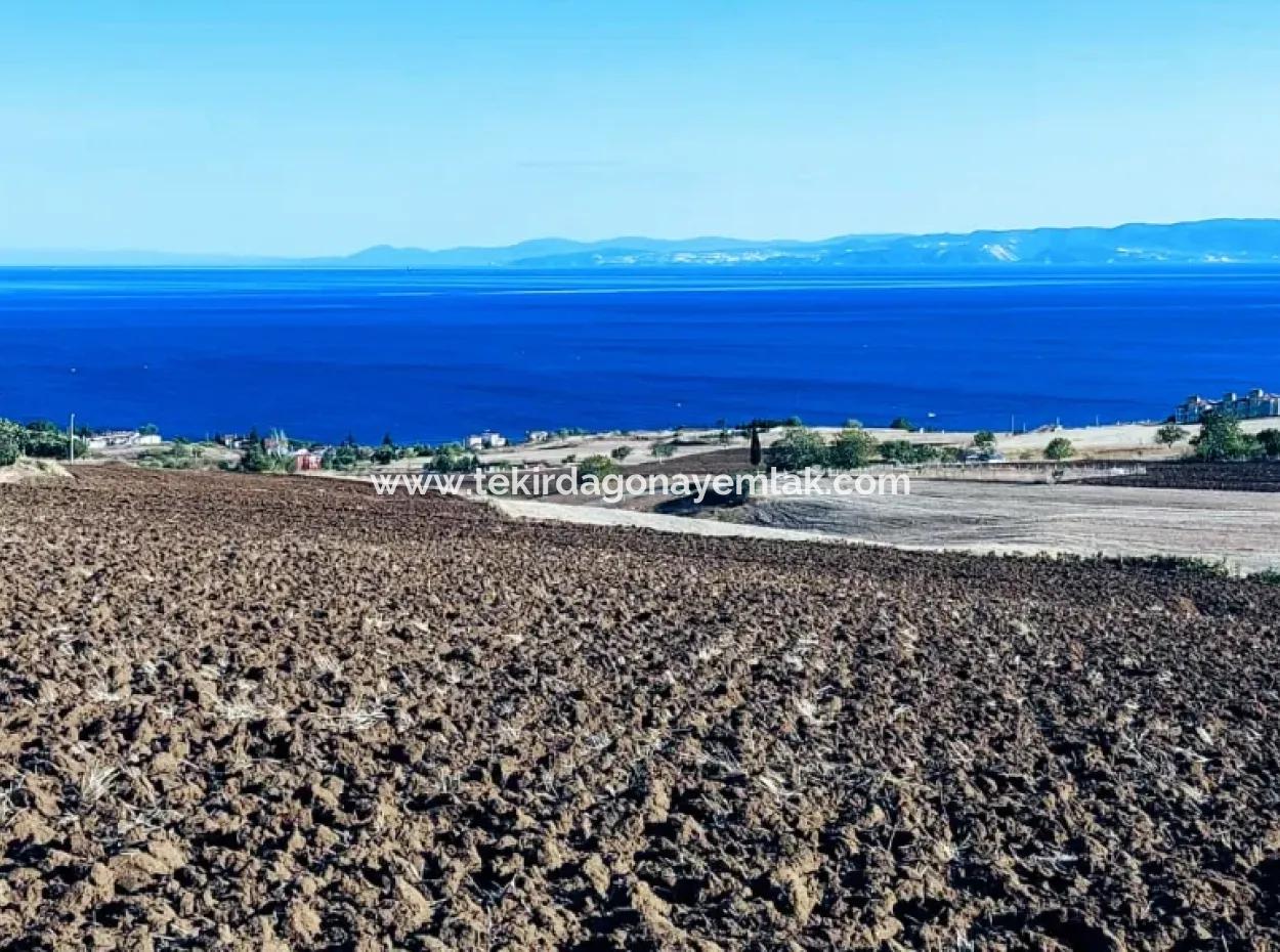 Hohe Gewinngarantie Investieren Sie In 44 Wohnungen Im Massenwohnungsbereich Geben Sie Auftragnehmern Das Doppelte Ihrer Gewinne