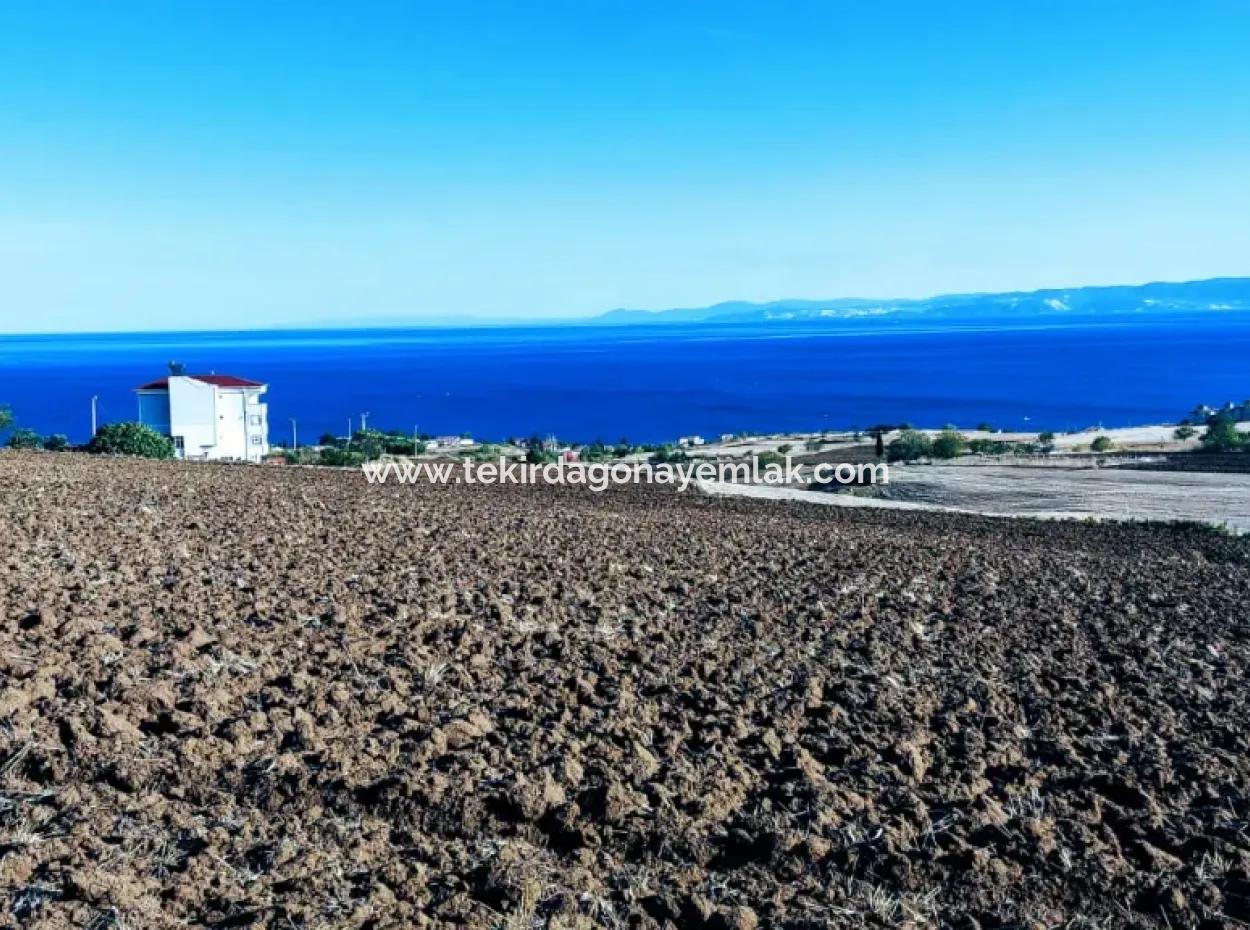 Hohe Gewinngarantie Investieren Sie In 44 Wohnungen Im Massenwohnungsbereich Geben Sie Auftragnehmern Das Doppelte Ihrer Gewinne