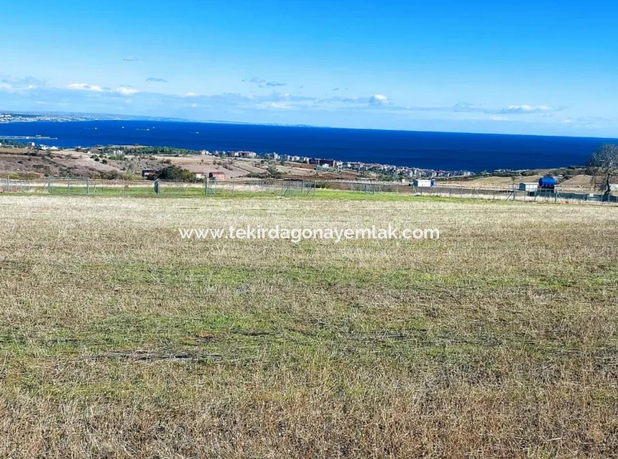 Bewerben Sie Sich Für Ein Luxusvillen-Projekt Zum Dringenden Verkauf, Bieten Sie Eine Hohe Lage In Kaznç, Einen Herrlichen, Vollständig Vollen Blick Auf Das Meer Und Die Natur