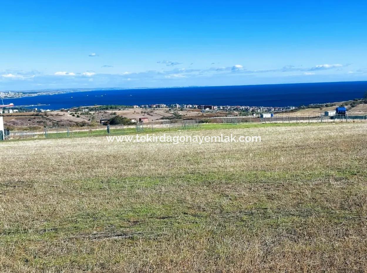Bewerben Sie Sich Für Ein Luxusvillen-Projekt Zum Dringenden Verkauf, Bieten Sie Eine Hohe Lage In Kaznç, Einen Herrlichen, Vollständig Vollen Blick Auf Das Meer Und Die Natur