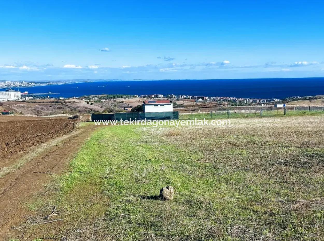 Bewerben Sie Sich Für Ein Luxusvillen-Projekt Zum Dringenden Verkauf, Bieten Sie Eine Hohe Lage In Kaznç, Einen Herrlichen, Vollständig Vollen Blick Auf Das Meer Und Die Natur