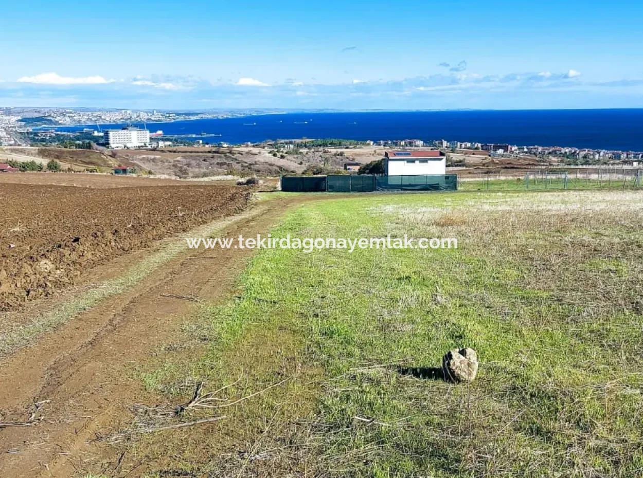 Bewerben Sie Sich Für Ein Luxusvillen-Projekt Zum Dringenden Verkauf, Bieten Sie Eine Hohe Lage In Kaznç, Einen Herrlichen, Vollständig Vollen Blick Auf Das Meer Und Die Natur