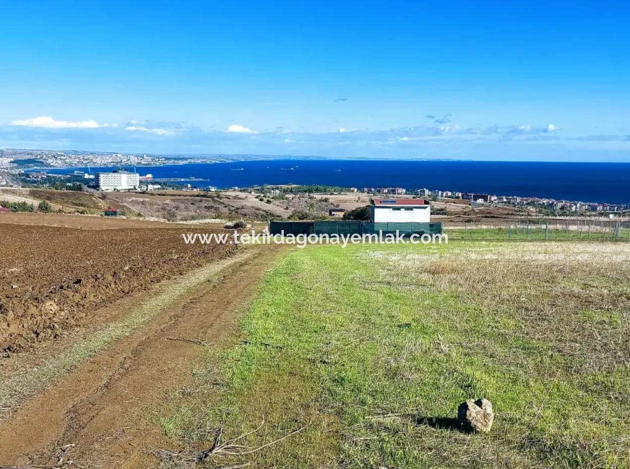 Bewerben Sie Sich Für Ein Luxusvillen-Projekt Zum Dringenden Verkauf, Bieten Sie Eine Hohe Lage In Kaznç, Einen Herrlichen, Vollständig Vollen Blick Auf Das Meer Und Die Natur