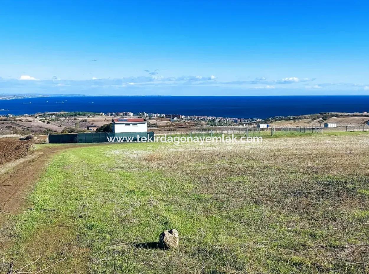 Bewerben Sie Sich Für Ein Luxusvillen-Projekt Zum Dringenden Verkauf, Bieten Sie Eine Hohe Lage In Kaznç, Einen Herrlichen, Vollständig Vollen Blick Auf Das Meer Und Die Natur