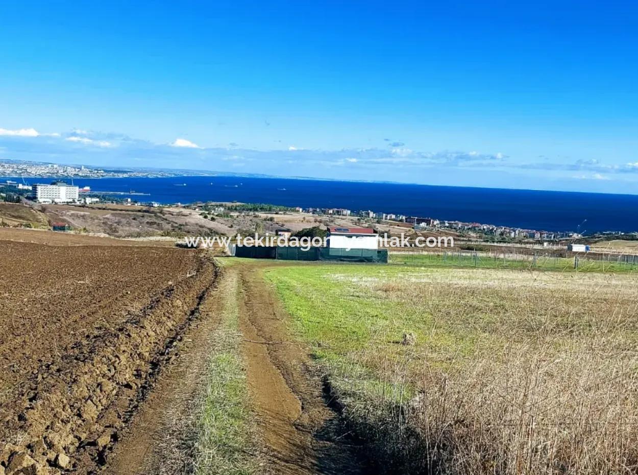 Bewerben Sie Sich Für Ein Luxusvillen-Projekt Zum Dringenden Verkauf, Bieten Sie Eine Hohe Lage In Kaznç, Einen Herrlichen, Vollständig Vollen Blick Auf Das Meer Und Die Natur