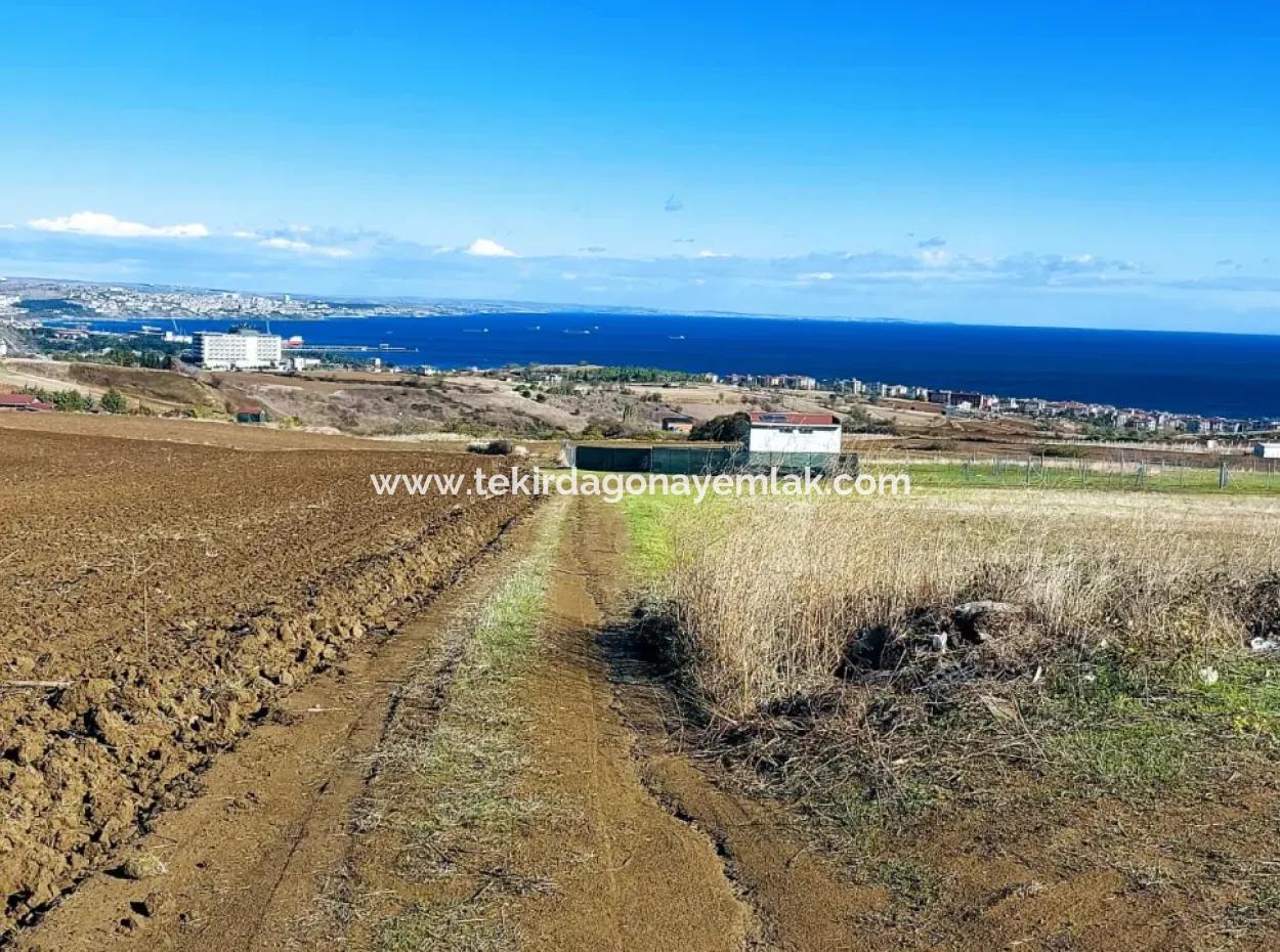 Bewerben Sie Sich Für Ein Luxusvillen-Projekt Zum Dringenden Verkauf, Bieten Sie Eine Hohe Lage In Kaznç, Einen Herrlichen, Vollständig Vollen Blick Auf Das Meer Und Die Natur