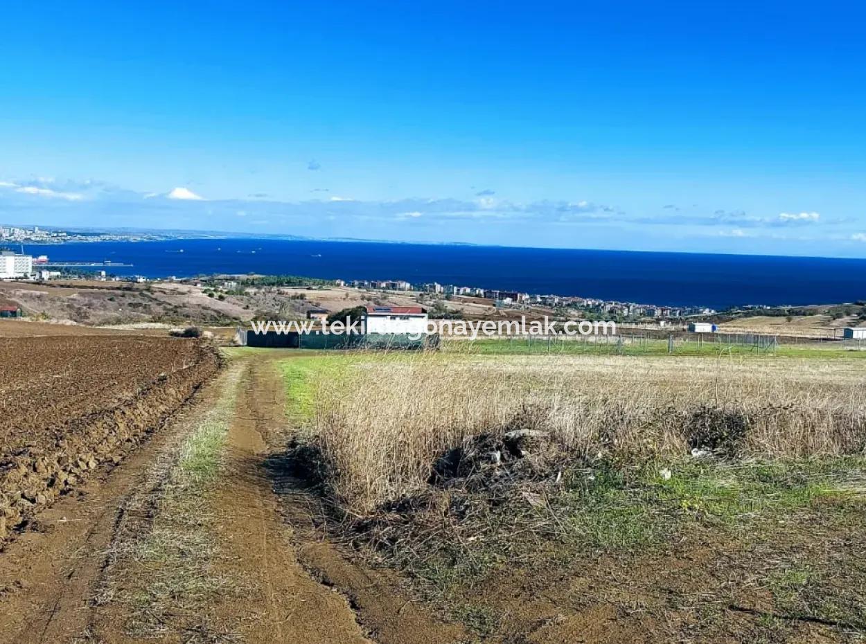 Bewerben Sie Sich Für Ein Luxusvillen-Projekt Zum Dringenden Verkauf, Bieten Sie Eine Hohe Lage In Kaznç, Einen Herrlichen, Vollständig Vollen Blick Auf Das Meer Und Die Natur